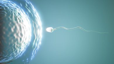 Varicocele: a doença silenciosa que pode causar infertilidade masculina