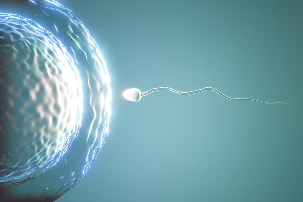 Varicocele: a doença silenciosa que pode causar infertilidade masculina